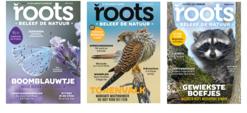 Halfjaar Roots met korting