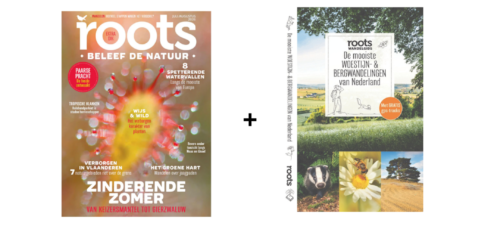 Halfjaar Roots met korting
