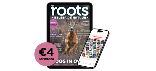 Roots digitaal