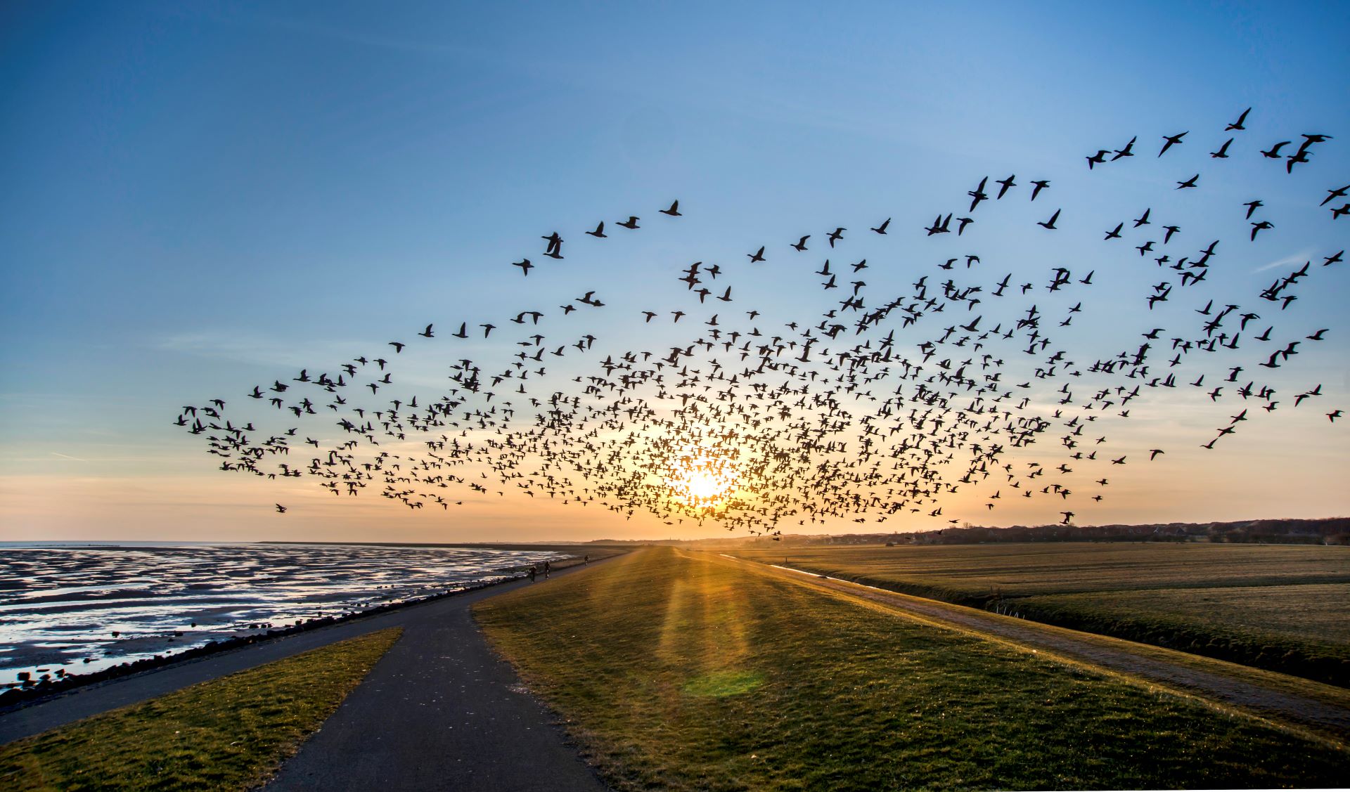 Kop Noord-Holland