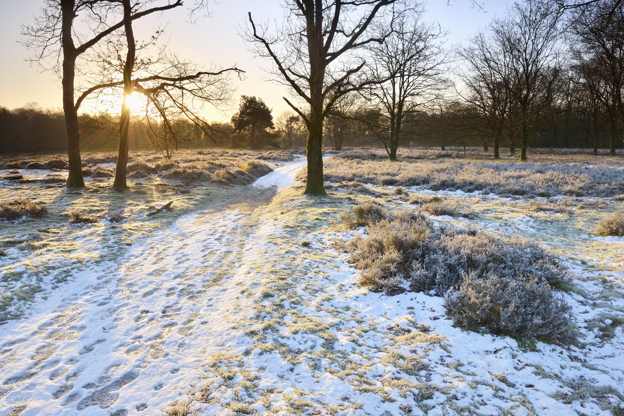 Winterwandeling Hügelgraberheide