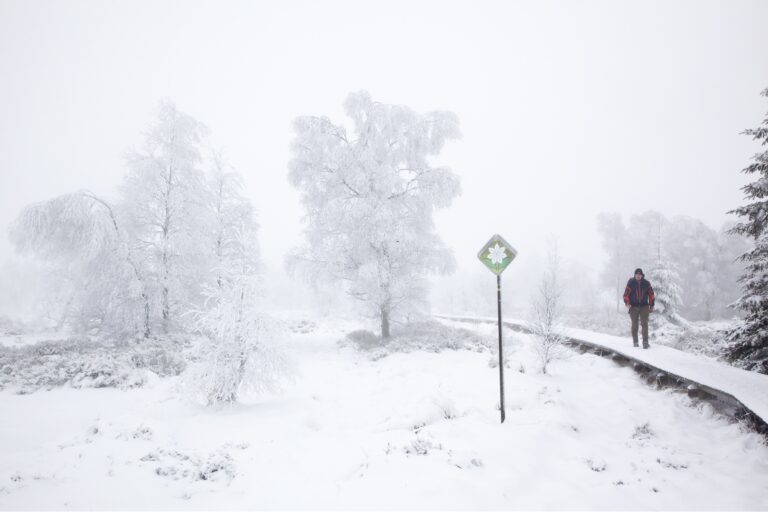 wandelaar in een sneeuwlandschap