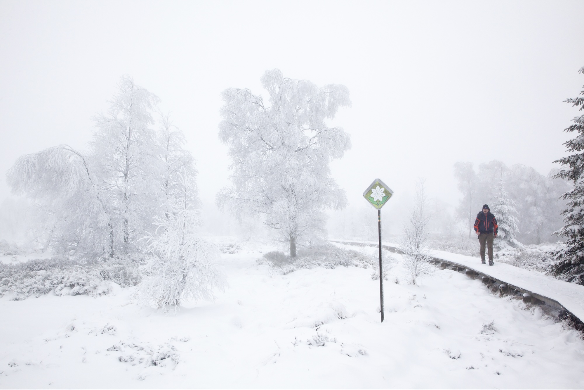 wandelaar in een sneeuwlandschap