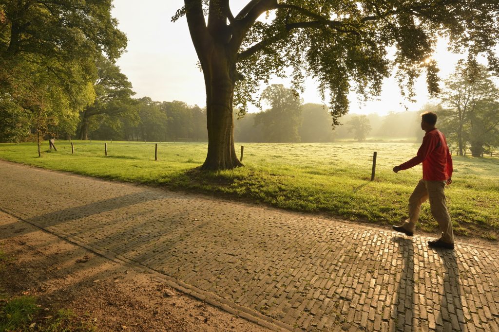 landgoederen ijssel: wandelaar op klinkerweg