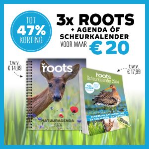 Roots Agenda/Scheurkalender 2024