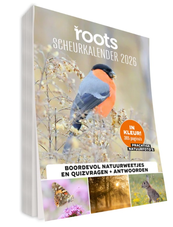Cover Roots Scheurkalender 2026
