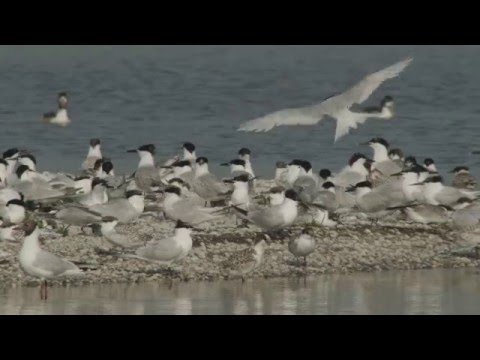 De werkzaamheden aan natuurgebied De Putten in vogelvlucht