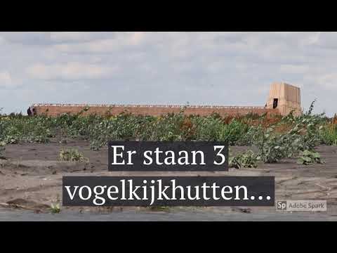 Marker Wadden