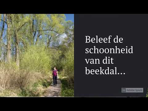 Wandelen rond deTungelroyse Beek