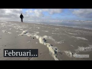 Wandelen op Schiermonnikoog