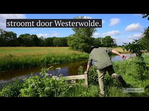 Wandelen rond de Ruiten Aa in Westerwolde