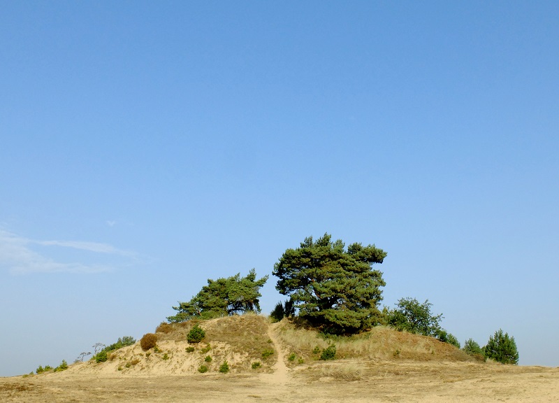 uitkijktoren Kootwijkerzand