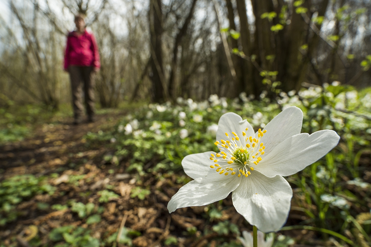 lentewandeling