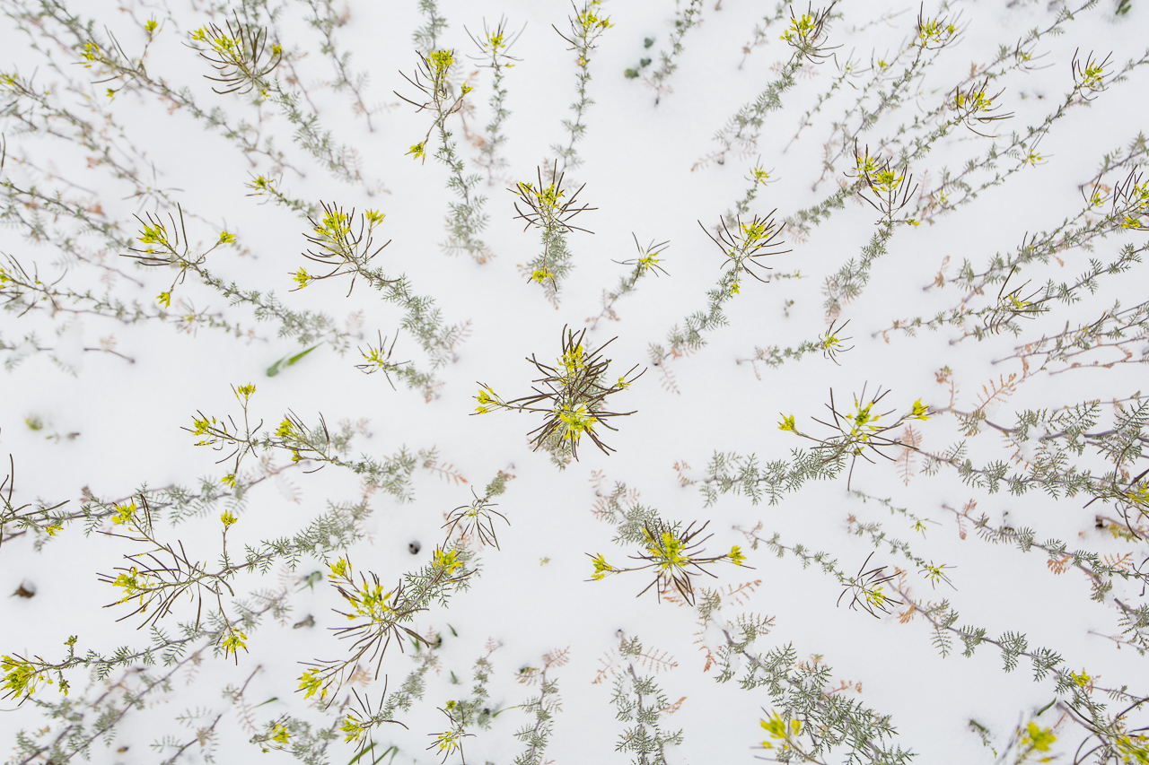 NatureTalks Natuurfotowedstrijd 2018