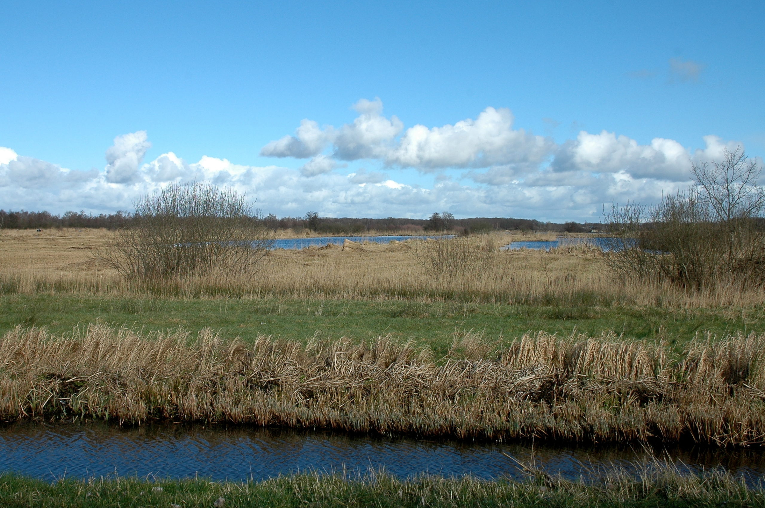 Weerribben-Wieden