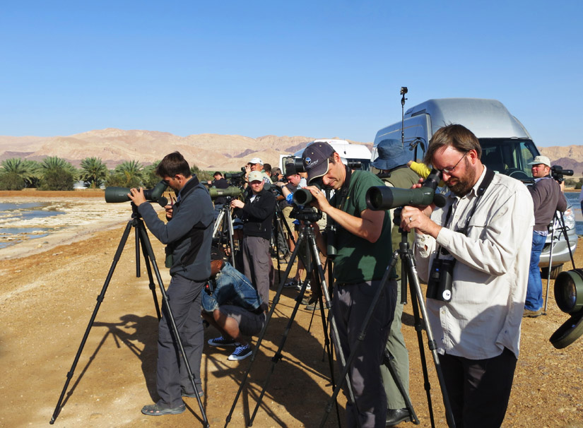 Vogelaars bij KM20 Eilat Israel; Birdwatchers at km20 Eilat Isra