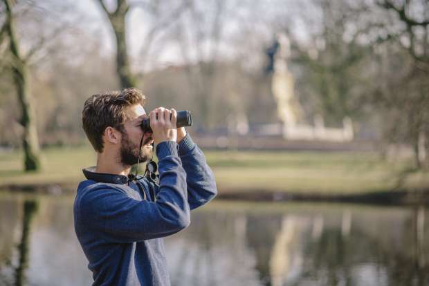 Treinrit door de vogelrijke Biesbosch