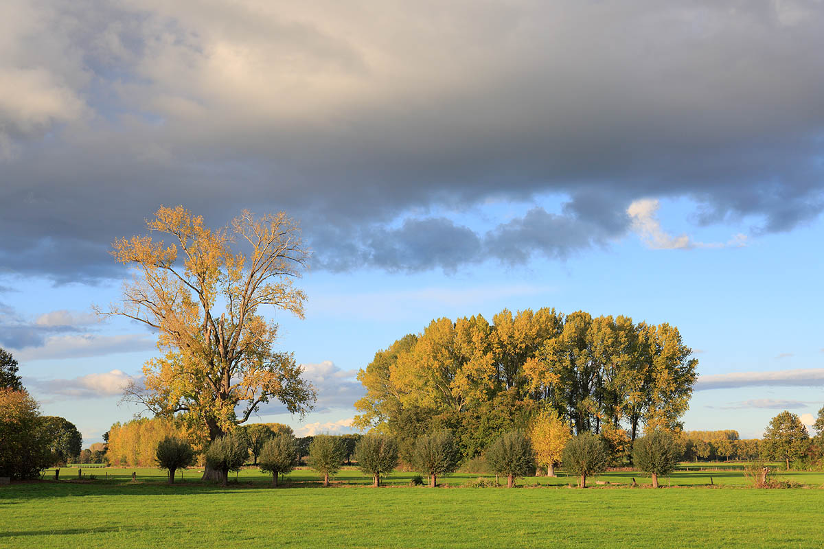 Achterhoek