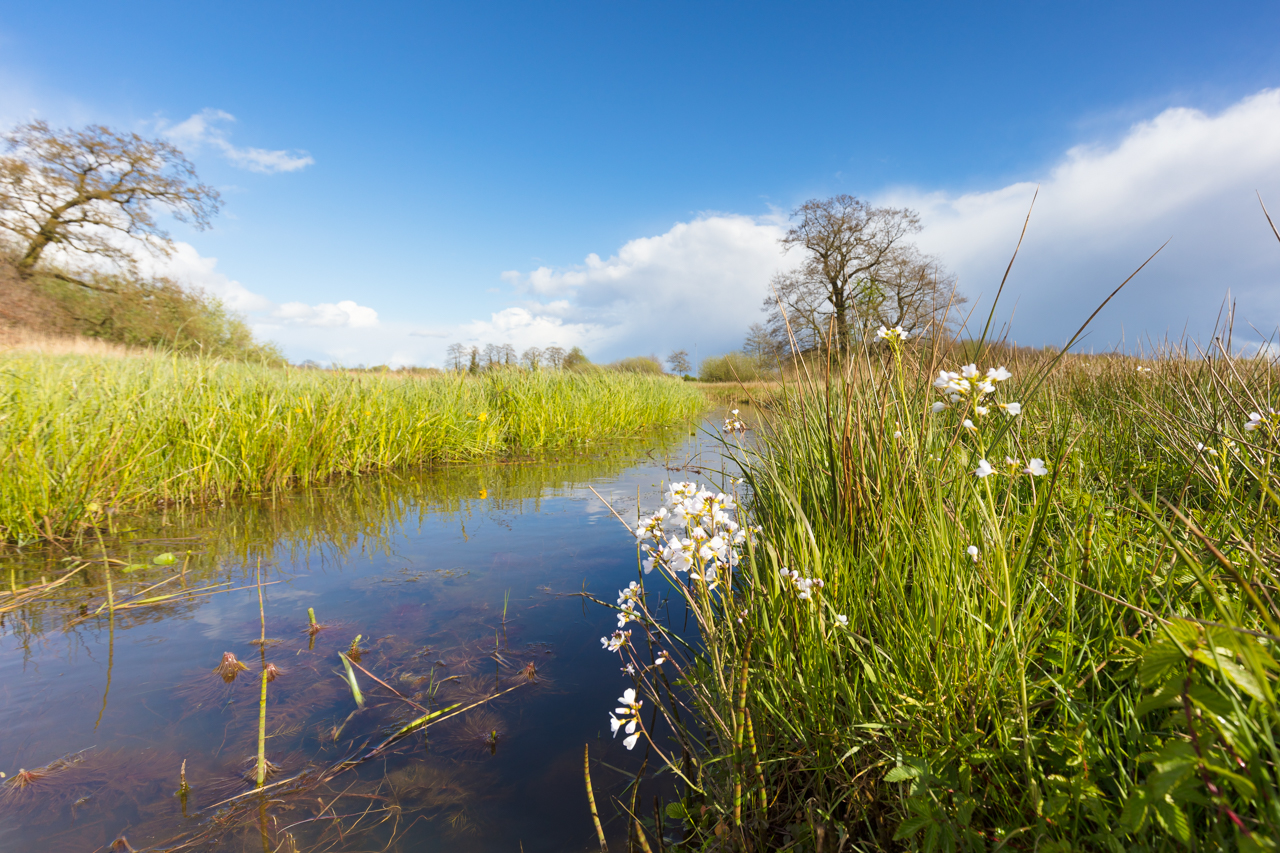 wandelen oost-groningen