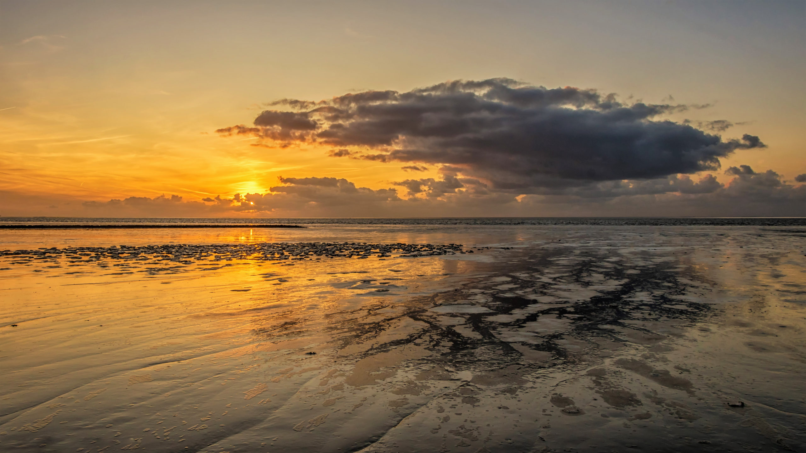 Foto van de Maand oktober