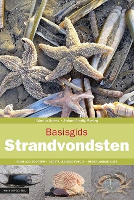 strandgidsen