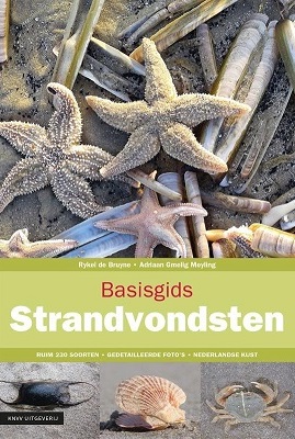 strandgidsen