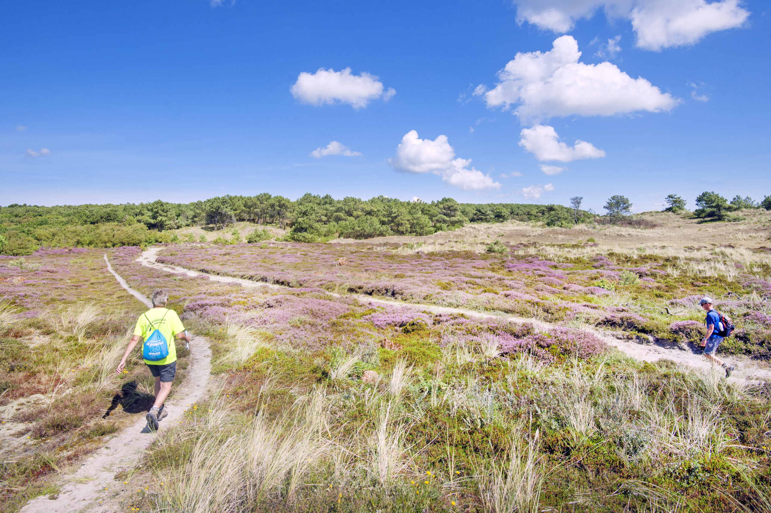 Vlieland