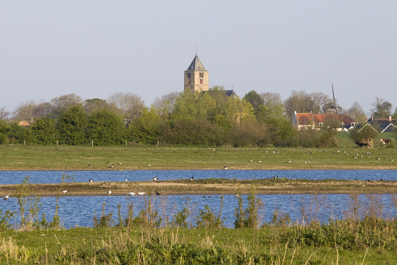 Vreugderijkerwaard