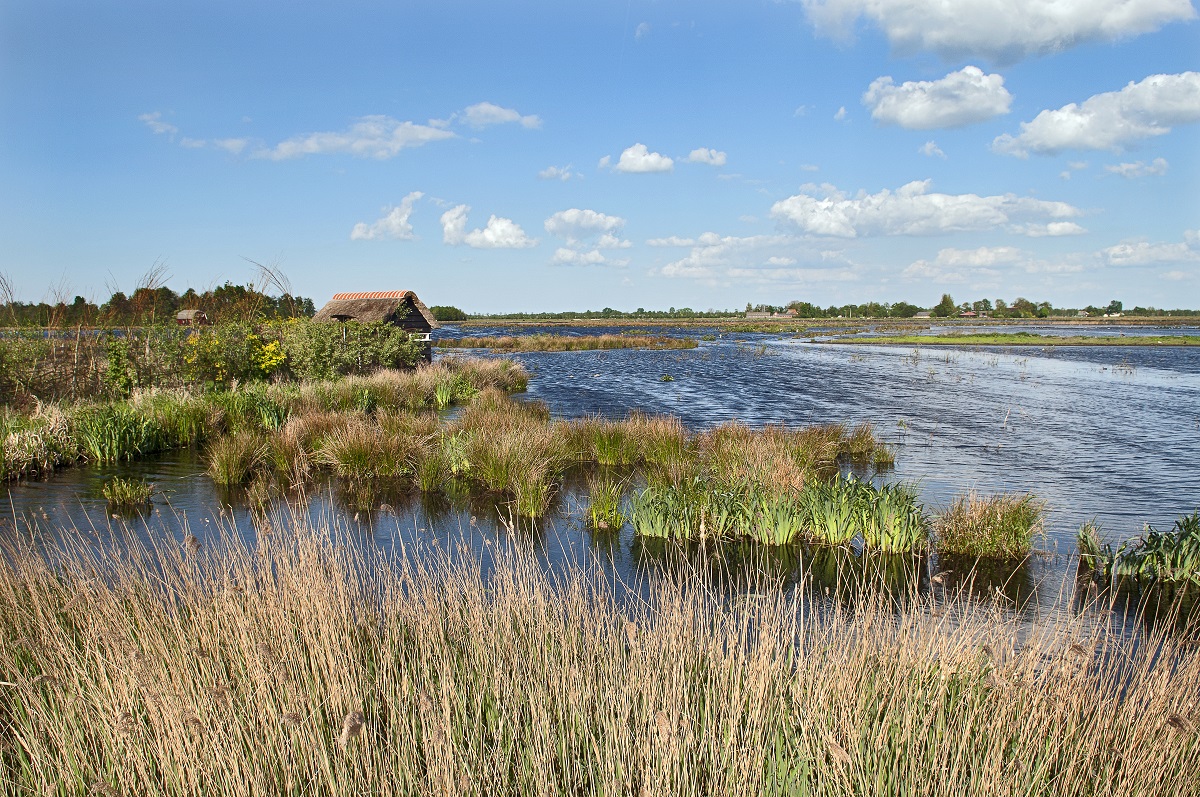 Fête de la Nature