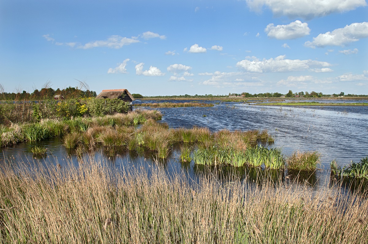 Fête de la Nature