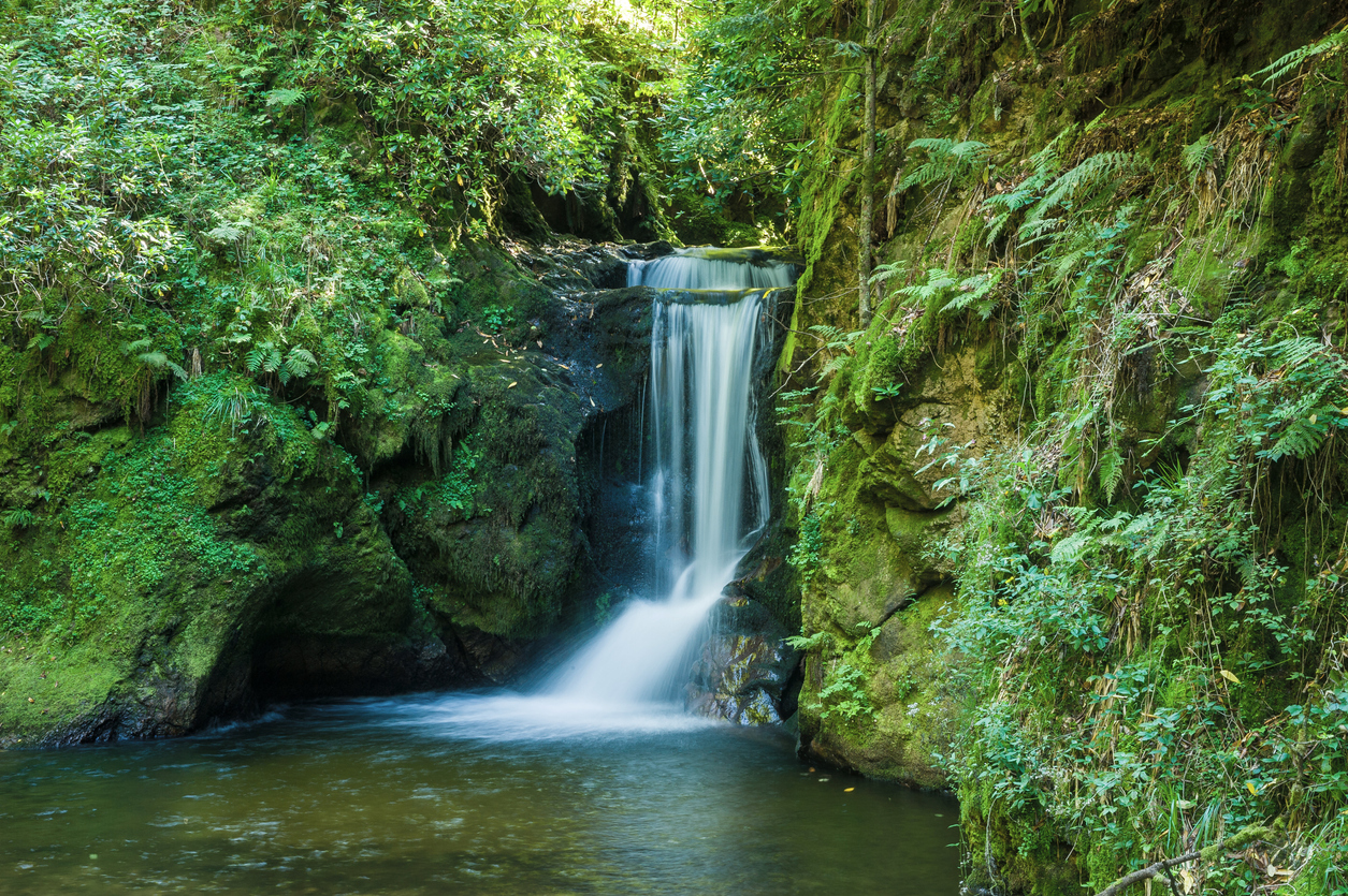 De waterval van de Geroldsauer in Geroldsau in het Zwarte Woud