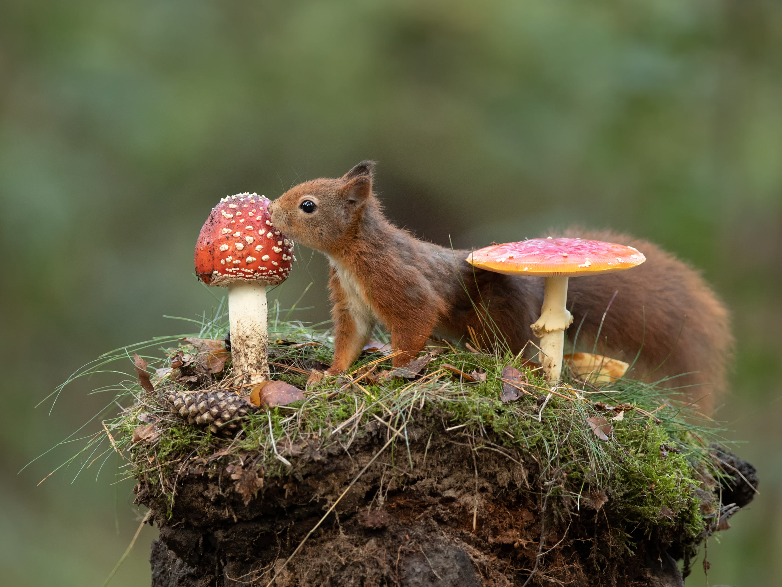 Foto van de Maand oktober wedstrijd