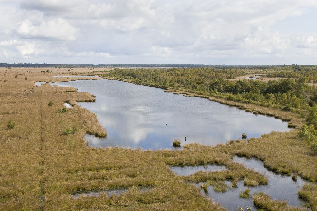 Fochteloërveen