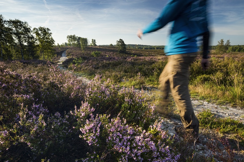 heidewandelen