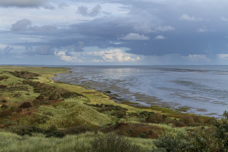 wadden de natuurgids