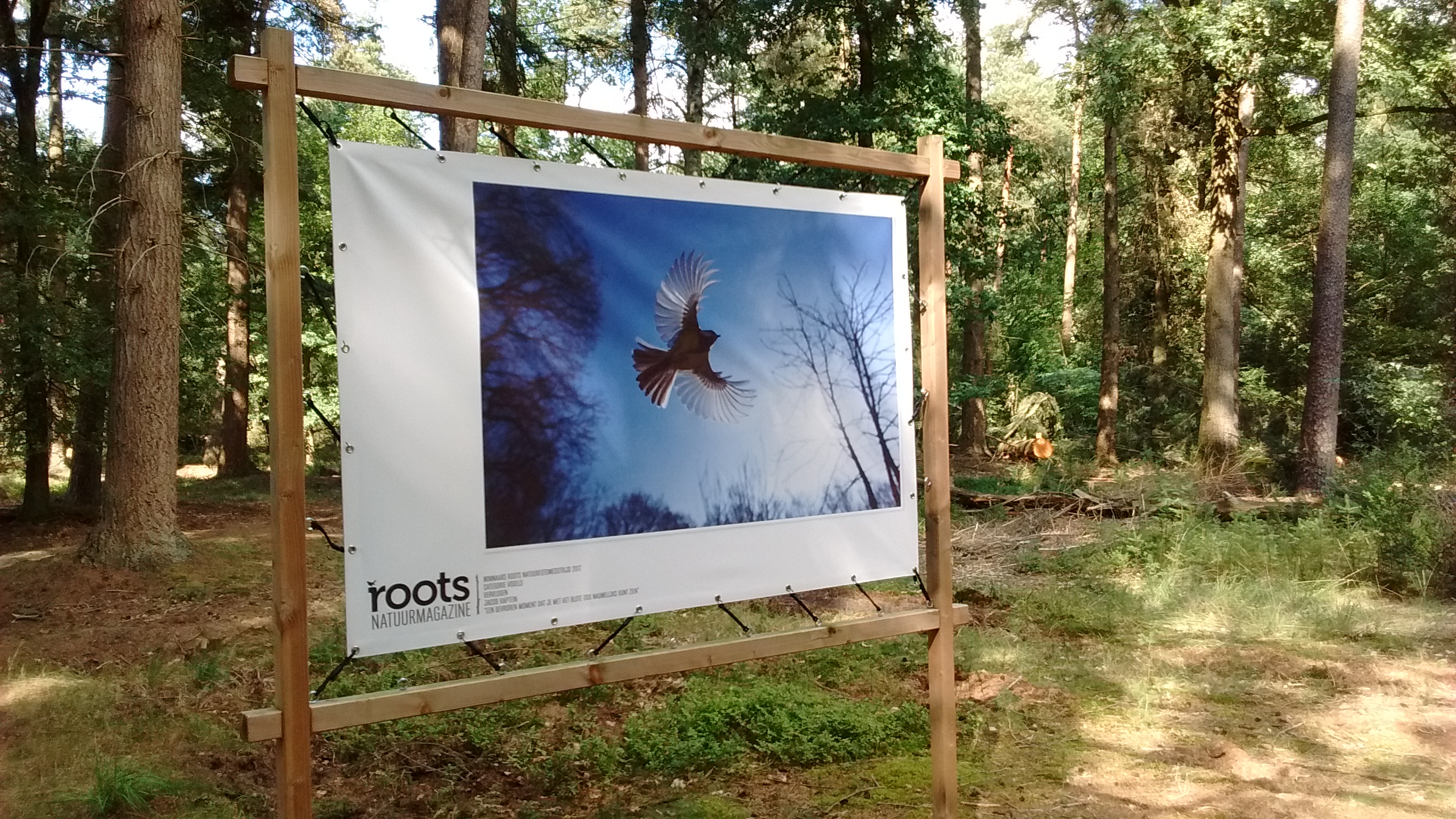 Roots Natuurfotowedstrijd 2018