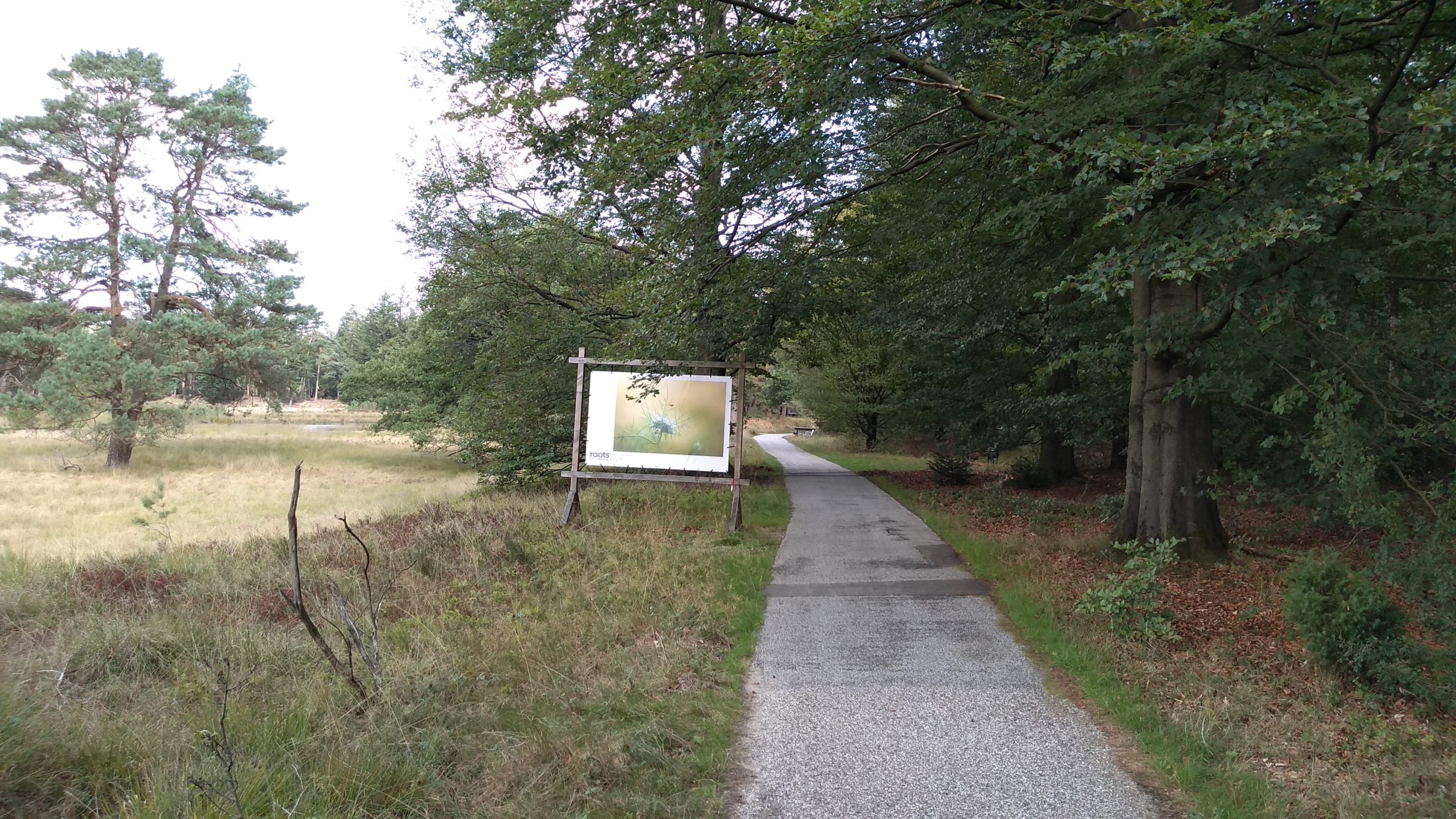 winnaars van de Roots Natuurfotowedstrijd 2020