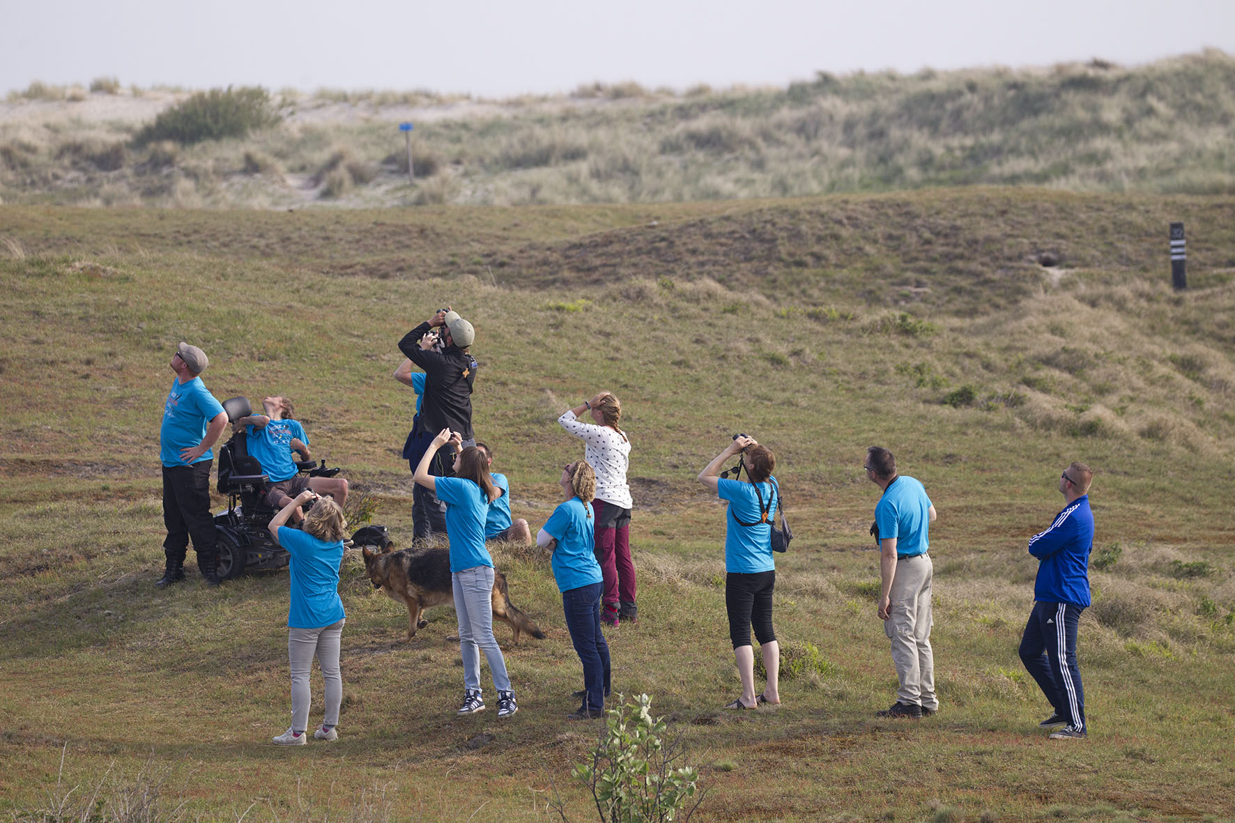 Texel Big Day 2019