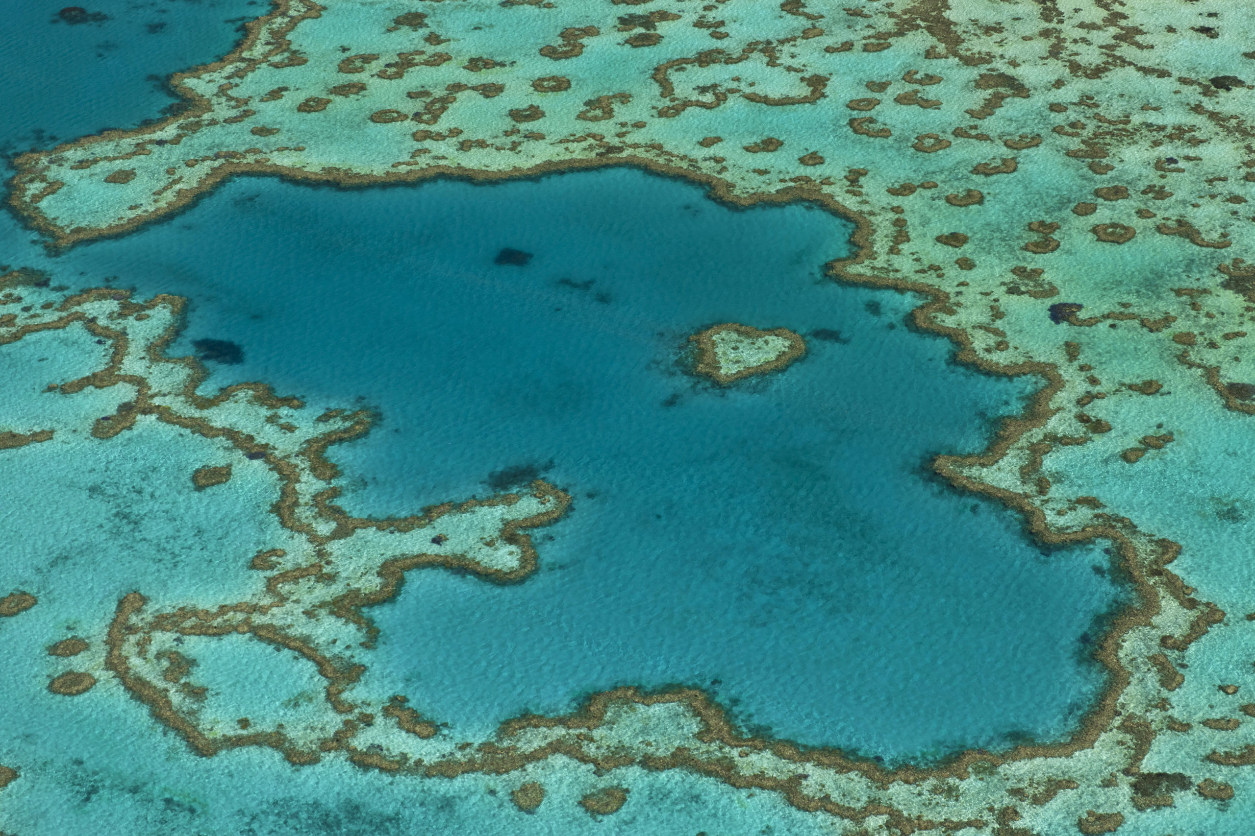 Aerial view of Hardy Reef, Heart Reef, Great Barrier Reef