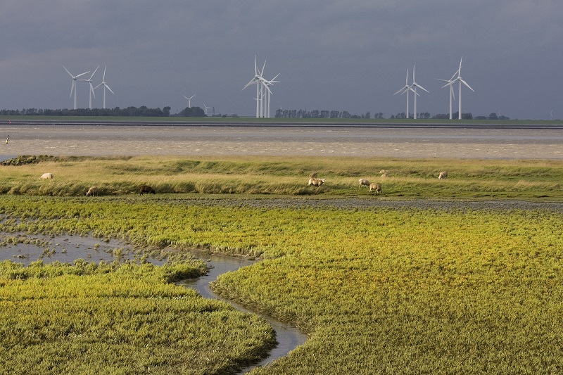 werelderfgoedweken