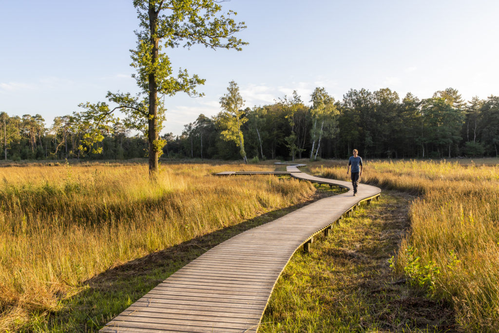 vlonderpad landgoed tongeren