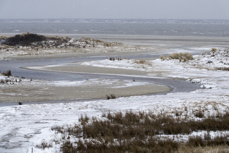 Duinen van Goeree