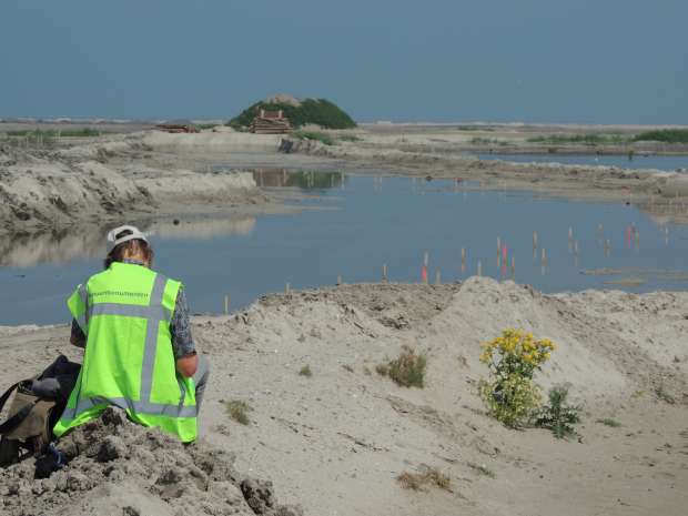 Vogelexcursie naar de Marker Wadden