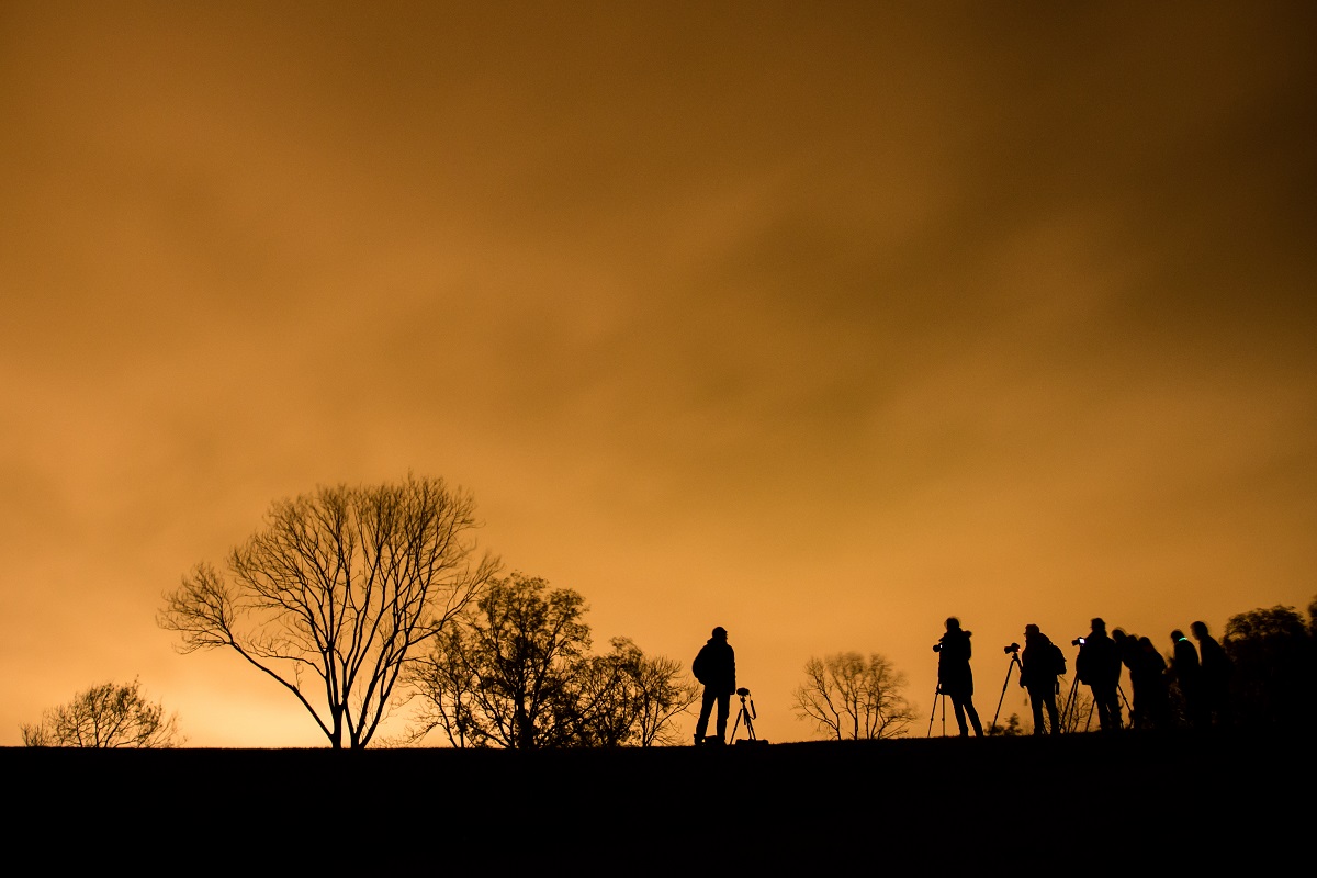 Nacht van de Nacht