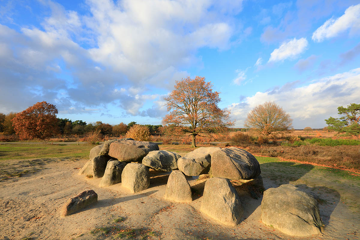 Holtingerveld