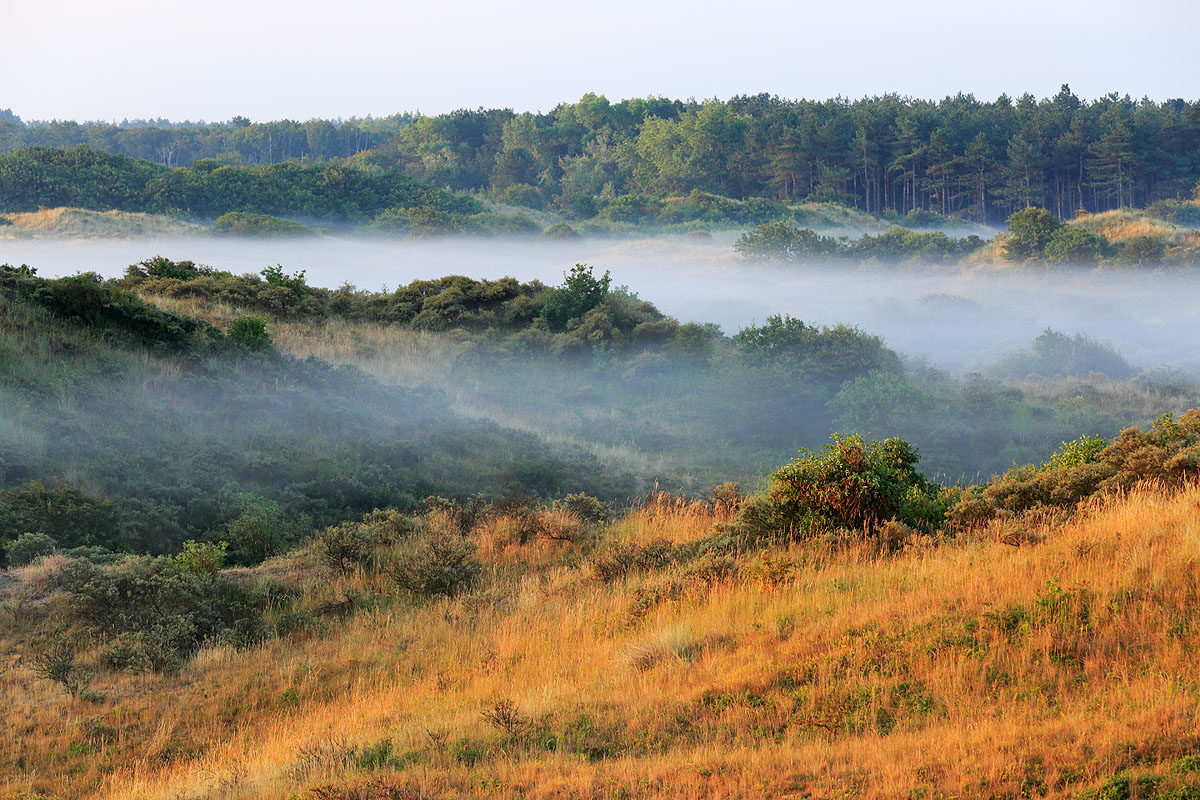 Noordhollands Duinreservaat