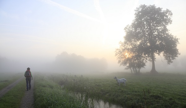 Paradijs in de polder