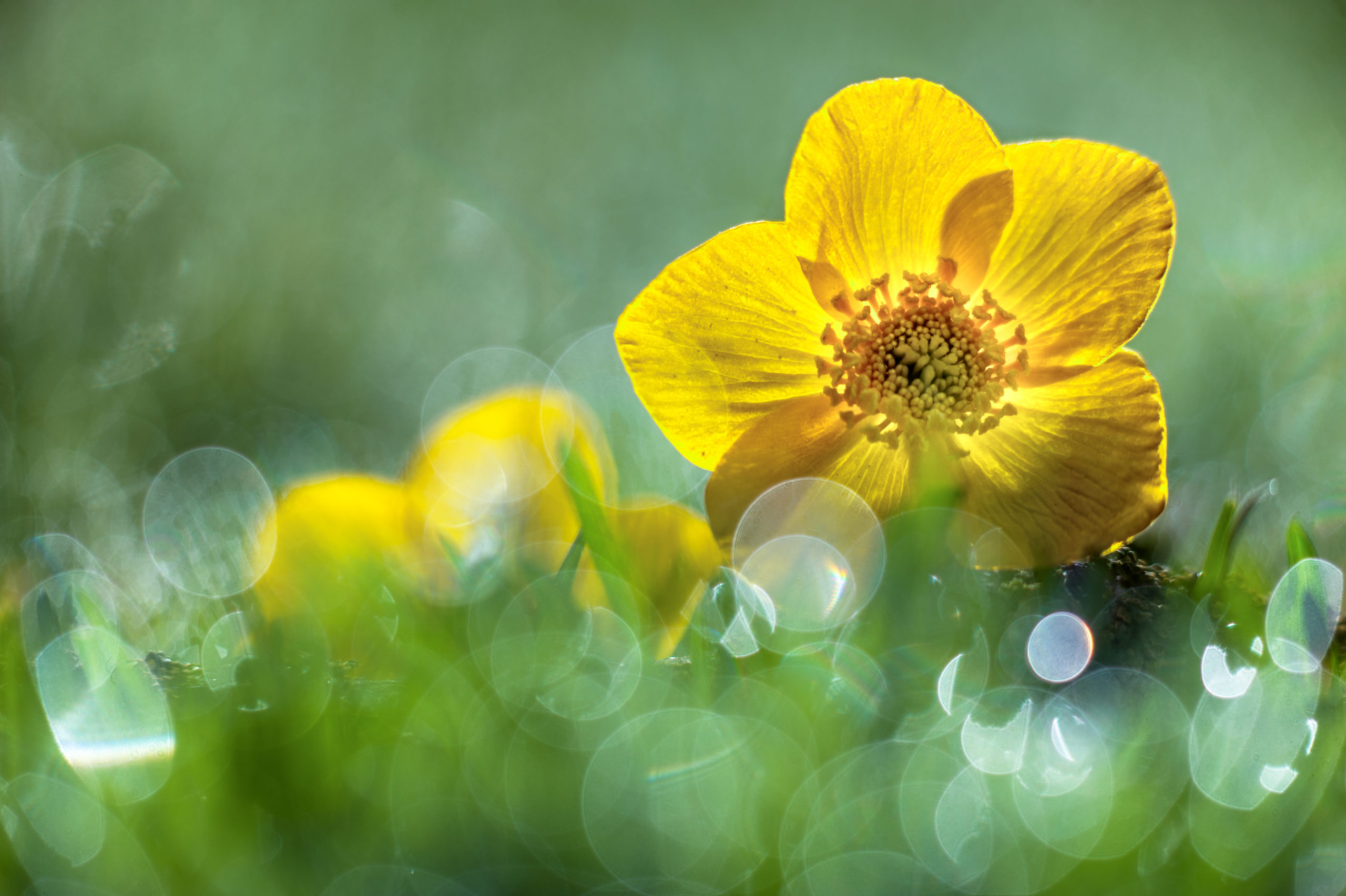 Foto van de Maand oktober