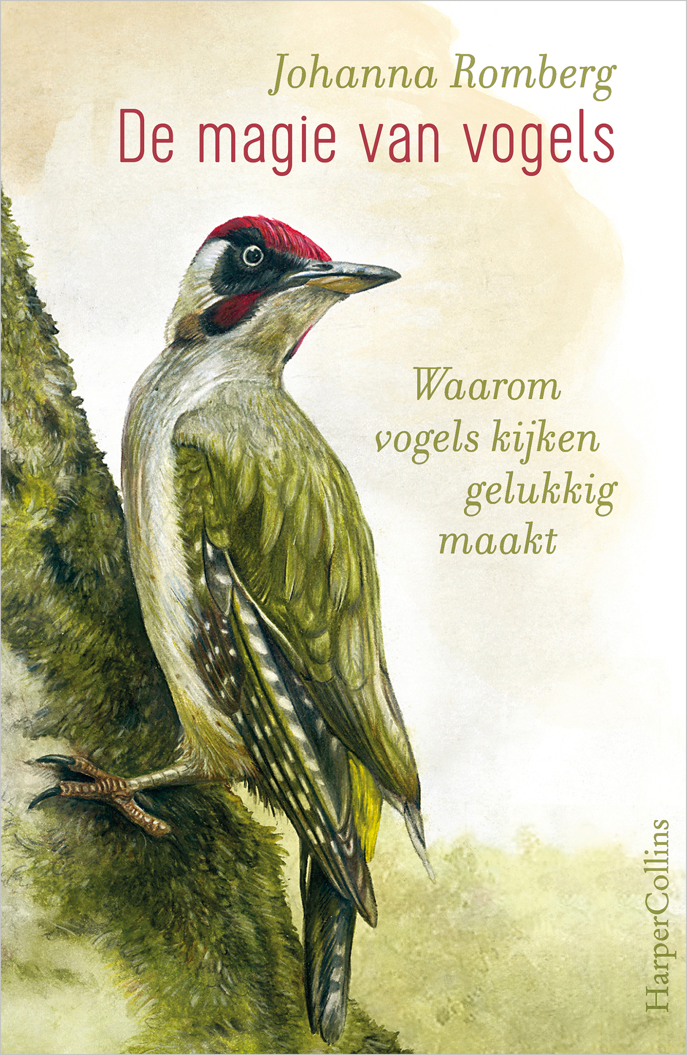 vogels kijken