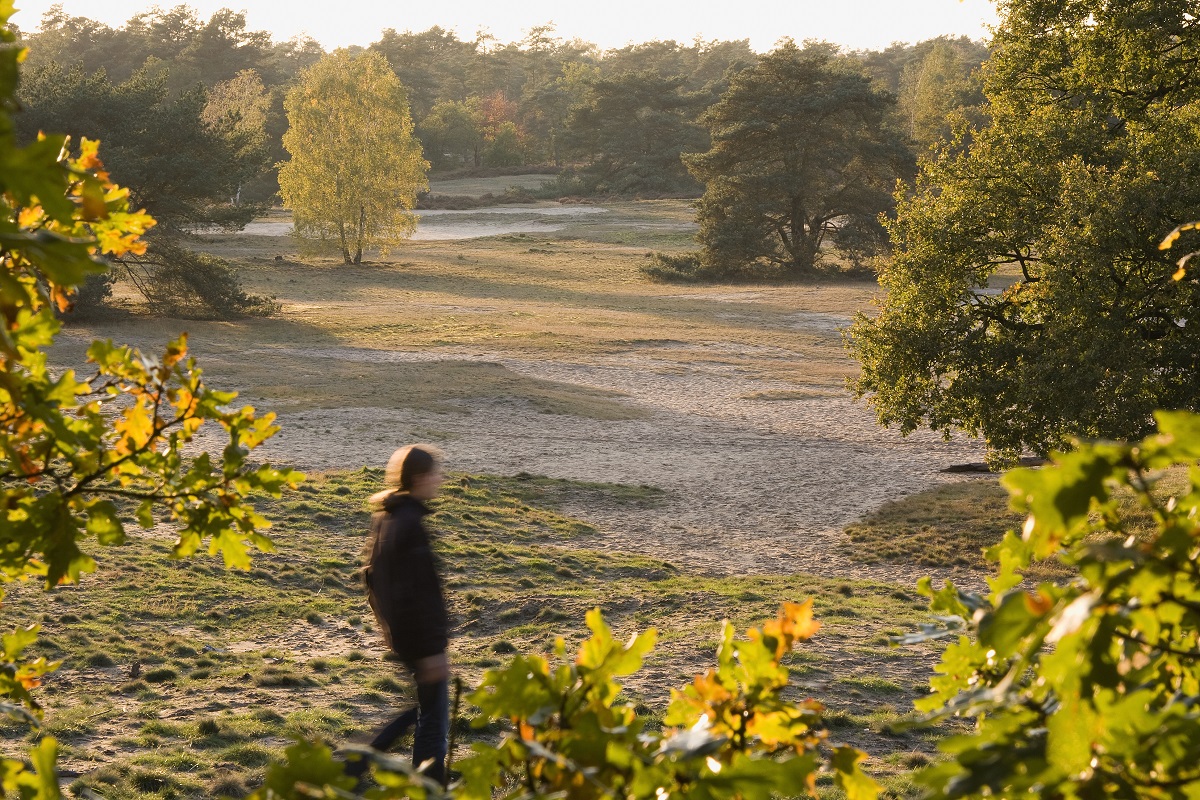 struinen in Nederland